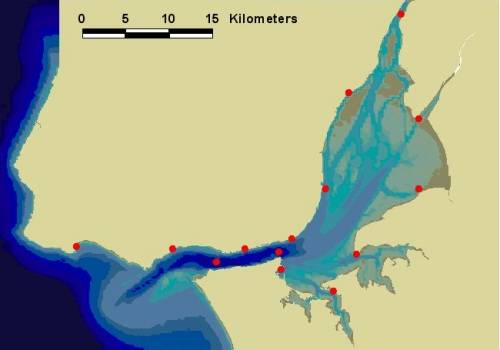 estuario