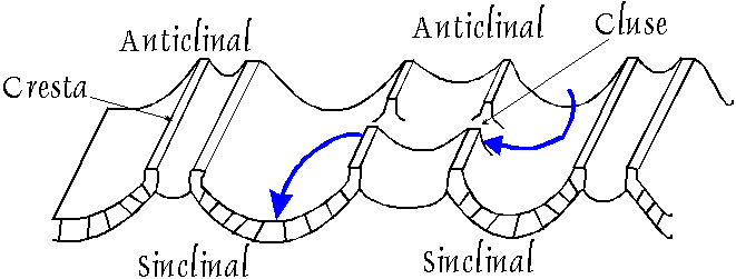 Relieve apalachense